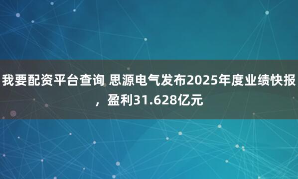 我要配资平台查询 思源电气发布2025年度业绩快报，盈利31.628亿元